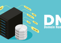 What Is DNS? Usage And Common DNS Server Types What Is DNS? Usage And Common DNS Server Types