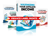 The Sales Funnel Engine PLR Review: Can You Build & Sell Your Own Funnel Products Faster? The Sales Funnel Engine PLR Review: Can You Build & Sell Your Own Funnel Products Faster?