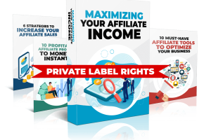 The Sales Funnel Engine PLR Review: Can You Build & Sell Your Own Funnel Products Faster?