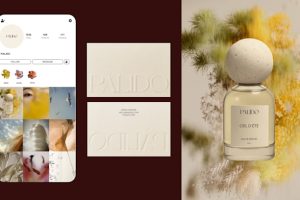 Create A High End Brand Identity Review
