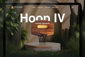 Fiverr Website Design Review 2026: Hipinspire