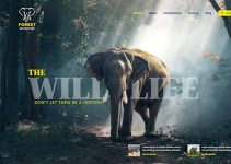 Fiverr Parth Hakani Review 2026: Figma Website Design Copy Fiverr Parth Hakani Review 2026: Figma Website Design Copy