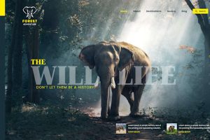 Fiverr Parth Hakani Review 2026: Figma Website Design  Copy